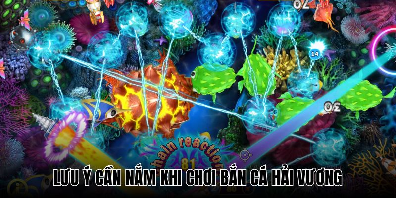 Cần tuân thủ đầy đủ quy định nhà cái trước khi chơi hải vương bắn cá